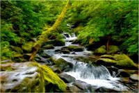 Flowing Stream - Digital Digital - By Shane Metler, Nature Digital Artist
